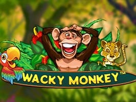Wacky Monkey game cover