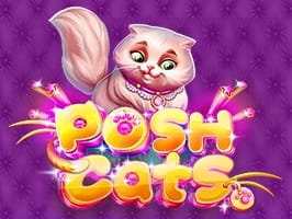 Posh Cats thumbnail